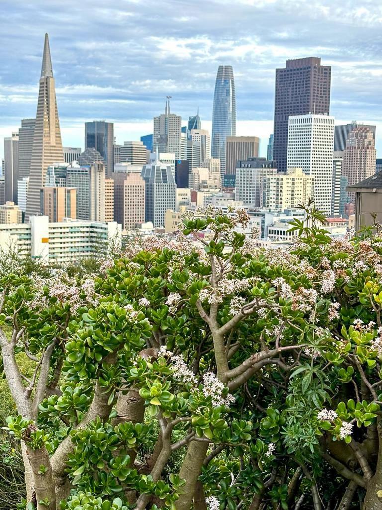 Ith San Francisco Pacific Tradewinds Backpacker Hostel Екстериор снимка